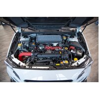 CARBON Fender Shroud for WRX STI 2015+