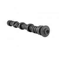 SKUNK2 TUNER STAGE 2 CAMSHAFT for R18