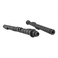 SKUNK2 TUNER DIC CAMSHAFT for K SERIES
