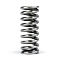 SKUNK2 ALPHA VALVE SPRING SET for SOHC D VTEC