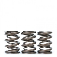 SKUNK2 ALPHA VALVE SPRING SET for DOHC B VTEC
