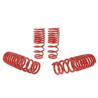 SKUNK2 LOWERING SPRINGS for '96-'00 CIVIC