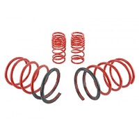 SKUNK2 LOWERING SPRINGS for '01-'05 CIVIC EX