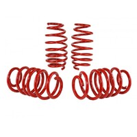SKUNK2 LOWERING SPRINGS for '12-'15 CIVIC