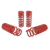 SKUNK2 LOWERING SPRINGS for '90-'93 INTEGRA