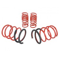 SKUNK2 LOWERING SPRINGS for '02-'04 DC5