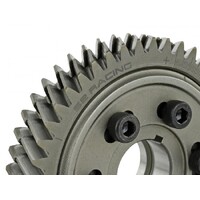 SKUNK2 PRO CAM GEARS for F20/F22C
