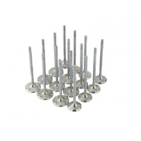 SKUNK2 ALPHA VALVES for STD COMP B SERIES 33MM/28MM