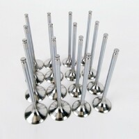 SKUNK2 ALPHA VALVES for STD COMP K SERIES 35MM/30MM