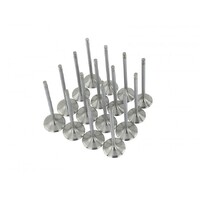 SKUNK2 ALPHA VALVES for HI COMP K SERIES 35MM/30MM