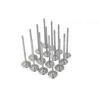 SKUNK2 ALPHA VALVES for STD COMP D SERIES 30MM/26MM