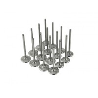 SKUNK2 ULTRA VALVES for STD COMP B SERIES 33MM/28MM