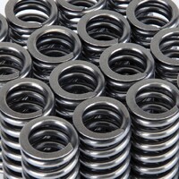 SKUNK2 ALPHA VALVE SPRING SET for SOHC D VTEC