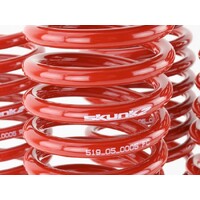 SKUNK2 LOWERING SPRINGS for '96-'00 CIVIC