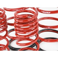 SKUNK2 LOWERING SPRINGS for '02-'05 CIVIC EP3