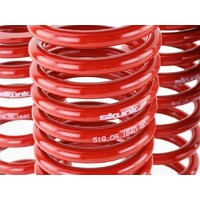SKUNK2 LOWERING SPRINGS for '90-'93 INTEGRA
