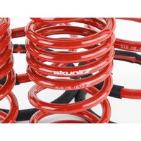 SKUNK2 LOWERING SPRINGS for '02-'04 DC5