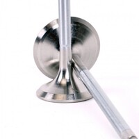 SKUNK2 ALPHA VALVES for STD COMP K SERIES 35MM/30MM