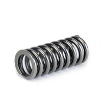 SKUNK2 ALPHA VALVE SPRING SET for SOHC D VTEC