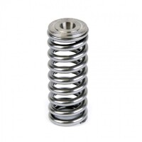SKUNK2 ALPHA VALVE SPRING AND TI RETAINER KIT for SOHC D VTEC