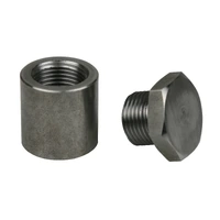 Innovate Motorsports Extended Bung and Plug Kit (Mild Steel) 1 inch