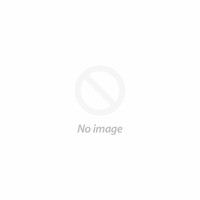 Mugen Ventilated Visor for Honda Odyssey