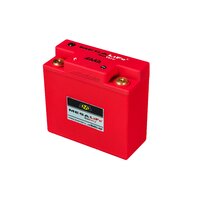 BUDDYCLUB MEGALiFe Battery MR-30S