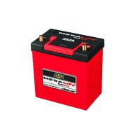 BUDDYCLUB MEGALiFe Battery MV-19L