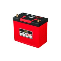 BUDDYCLUB MEGALiFe Battery MV-24L
