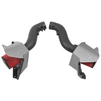 AEM 21-821DS Cold Air Intake System