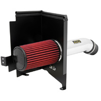 AEM 21-8408DP Brute Force Intake System