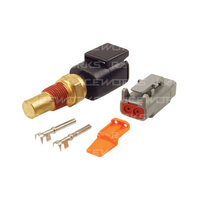 Raceworks Motorsport 1/8 BSP Temp Sensor & Connector  CTS-131