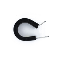 Deatschwerks Rubber Cushioned P-Clamp to Suit -10 Hose (15.9mm Clamp ID)