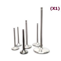 FERREA TITANIUM ENGINE VALVES ENGINE VALVE FOR SMALL BLOCK F1730
