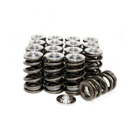 Beehive Spring/Titanium Retainer Set FOR EVO X