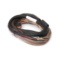 HALTECH IO 12 Expander Flying Lead Harness HT-049902