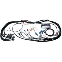 HALTECH Sport 2000 ¨C GM LS1/6 Gen IV (non DBW) Terminated Engine Harness Kit (EV6)