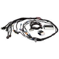 HALTECH Sport 2000 ¨C Toyota 2JZ Terminated Engine Harness Kit (HPI6)