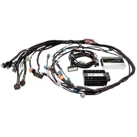 HALTECH Sport 2000 ¨C Ford 5L (89-95) Terminated Engine Harness Kit