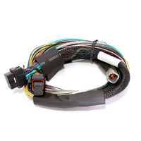 HALTECH Elite 1500 Basic Universal Wire-in Harness HT-140902