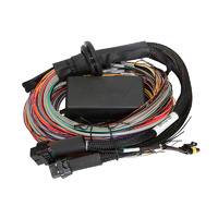 HALTECH Elite 1500 Premium Universal Wire-in Harness HT-140904
