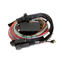 HALTECH Elite 2500 & 2500 T Premium UniversalWire-in Harness HT-141304