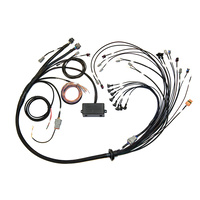 HALTECH Elite 2000 V8 Small/Big BlockGM FOR Ford & Chrysler HT-141376