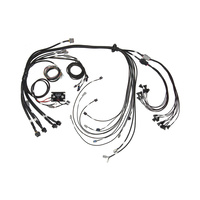 HALTECH Elite 2500 for BlockGM, Ford & Chrysler Terminated Harness HT-142005