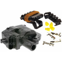 Raceworks LS1 Ignition Coil (incl. Plug & Pins)  IGC-500
