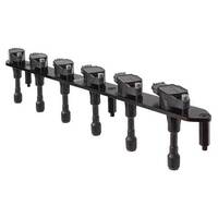 Raceworks RB20/25/26 Ignition Coil Bracket & 6X R35 GTR Hitachi Coils  IGC-505
