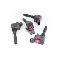 IP Coil for Golf7 TSI Highline 1.4L Turbo SKU:IP-A121413