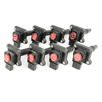 IP Coil for AUDI A8, RS6, S6, V8 SKU:IP-A121802