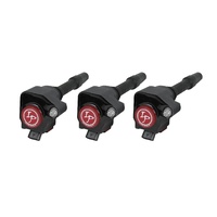 IP Coil FOR BMW B38 Turbo SKU:IP-A122311