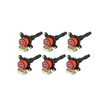 IP Coil for BMW 5 Series 1997-2003 SKU:IP-A122602 / IP-A122802